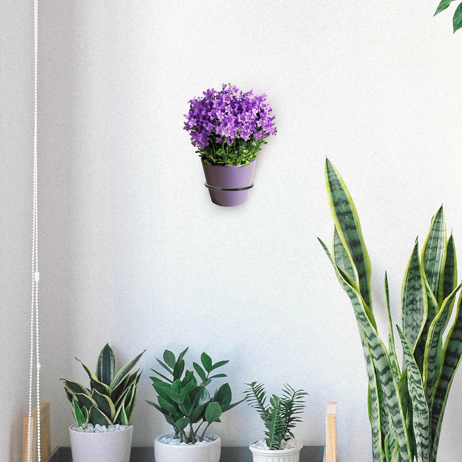 3Pcs Wall-Mounted Flowerpot Ra - Bonsai Vertical Garden บทวิจารณ์และราคา