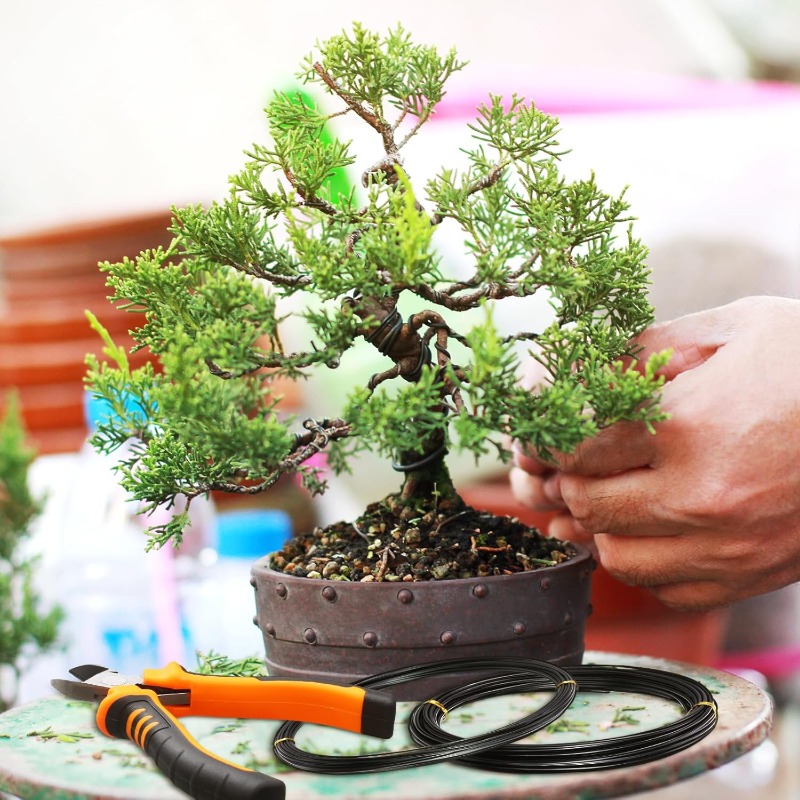 1-3mm Bonsai Wires Aluminum Pl - Bonsai Garden Accessories บทวิจารณ์และราคา