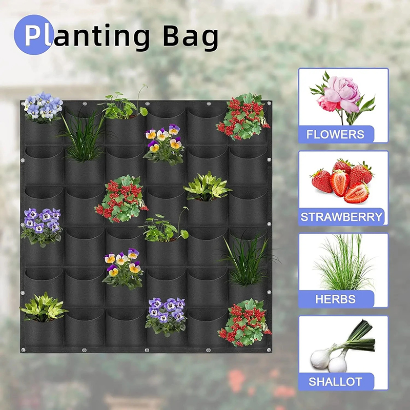 Wall Hanging Planting Bag Mult - Bonsai Vertical Garden บทวิจารณ์และราคา