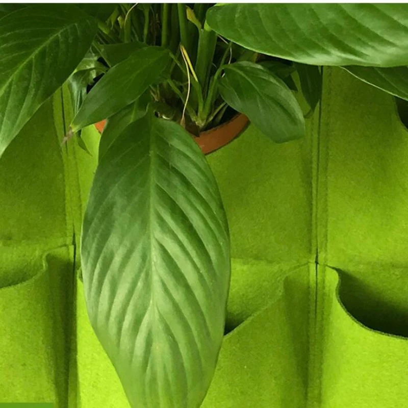 Wall Hanging Planting Bag Mult - Bonsai Vertical Garden บทวิจารณ์และราคา