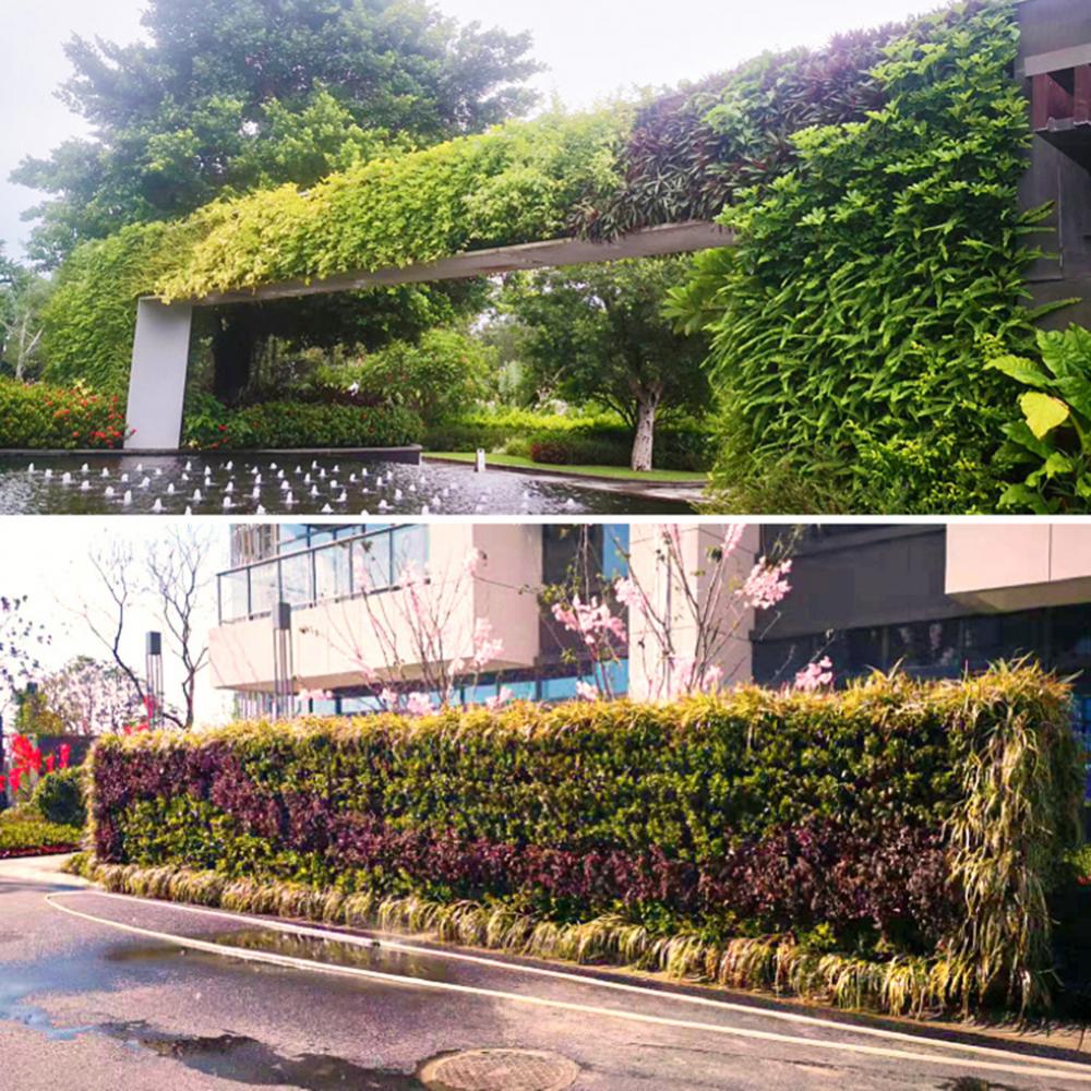 Wall Mounted Forest Box Multi  - Bonsai Vertical Garden บทวิจารณ์และราคา