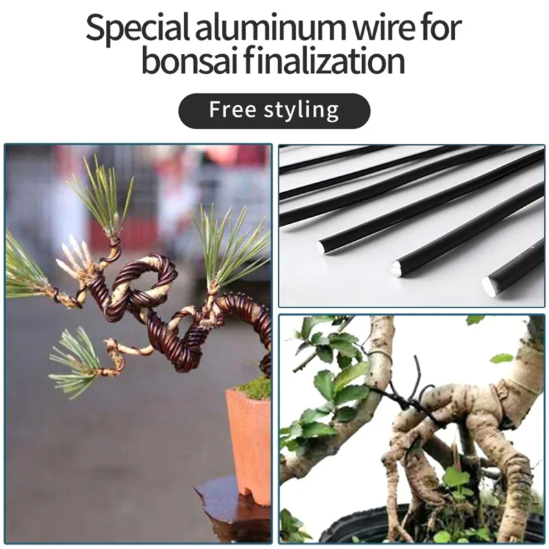 5m Bonsai Wire plant support A - Bonsai Garden Accessories บทวิจารณ์และราคา